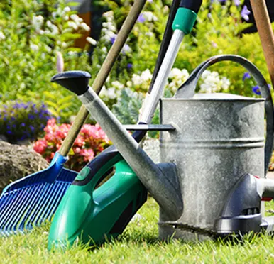 Cook-n-Klean Services