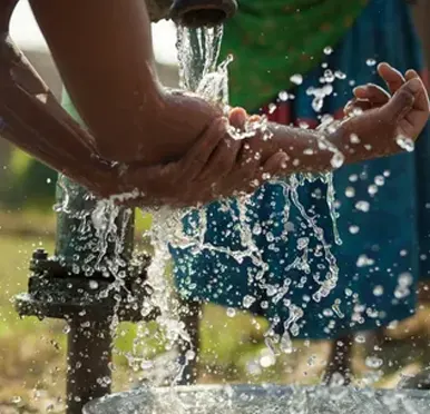 Cook-n-Klean Services