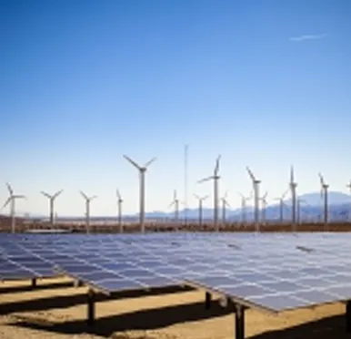 Cook-n-Klean Services